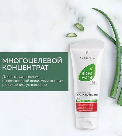 Заголовок